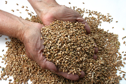 The power of whole grains