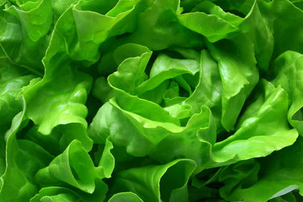 Dark green leafy vegetables: major health benefits
