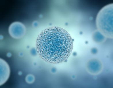 Diet for People with Human Papillomavirus