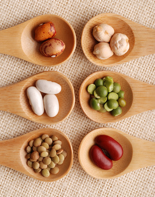 Macrobiotic Diet, medical diet