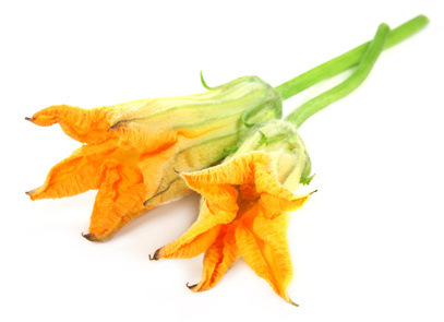 Original recipes with Pumpkin Blossoms