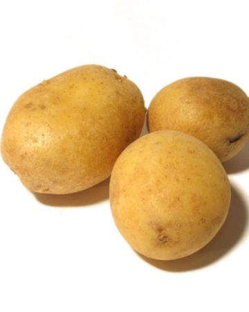 Recipes with Potatoes