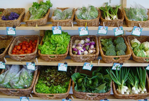 Export of Organic products