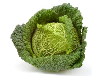 cabbage