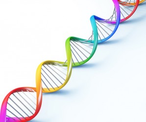 Dna helix strand  genetic cells colors medical research