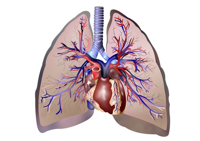 COPD: Chronic Obstructive Pulmonary Disease