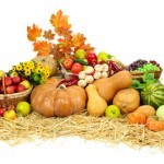 Organic Food: Truths and Misconceptions