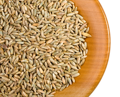 Diet with Brewer’s Yeast