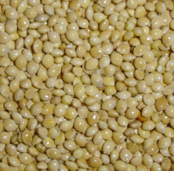 Marvelous Millet