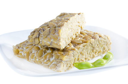 Tempeh Properties and Cooking uses
